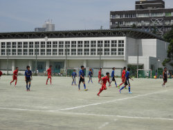 DSC00274[1].jpgのサムネール画像